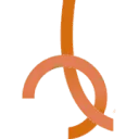 Logo van LANS Advocaten