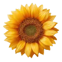 Logo getbindu.com