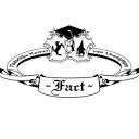 Logo van Plaatselijke Kamer van Verenigingen Fact