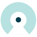 Logo van Consumenten Advies Nederland