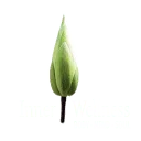 Logo van InnerWellness body-mind-soul