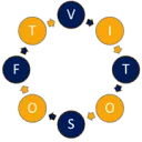 Logo van VitoSoft