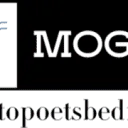 Logo van MoGo Autopoetsbedrijf