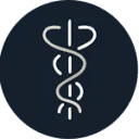 Logo Vertaalbureau Stegeman