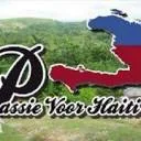 Logo van Stichting Passie voor Haïti