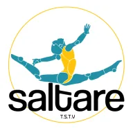 Logo van T.S.T.V. Saltare
