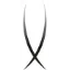 Logo van Trivvy