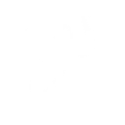 Logo van RGS autobekleding