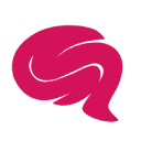 Logo van MediaBrainz NL