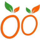 Logo van FitFood Diëtistenpraktijk
