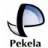 Logo van Gemeente Pekela
