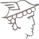 Logo van Gymnasium Felisenum