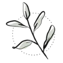 Logo Green Bubble B.V.