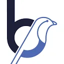 Logo Birdie Design