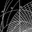 Logo van Morphosis
