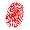 Logo Vinger.nl