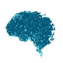 Logo van Umente Neuroscience Awareness Network