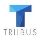 Logo van TRIIBUS Consultancy BV