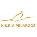 Logo van Hofvijver Regatta 2026