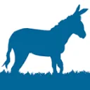 Logo van Blue Donkey Media