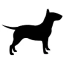 Logo van iizt