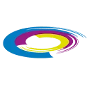 Logo Van Wely Project Solutions