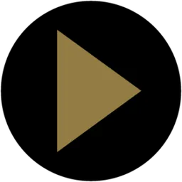 Logo van Petisys Automatiseringsbureau B.V.