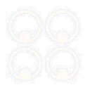 Logo van Nederlands Instituut voor Praxeologie