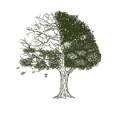 Logo van Stagioni