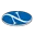 Logo van Novum Pharma International