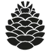 Logo van By Roots