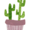 Logo van Terra Cacti