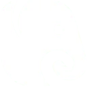Logo van Behavioural Insights Group Rotterdam BIG'R