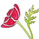 Logo van Studio Klaproos