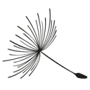 Logo van Beweeg AND Bloei