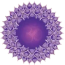 Logo van I Am Yoga