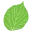 Logo Stadsbomen Tilburg