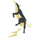 Logo Kasku
