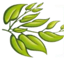 Logo van Rijk Tuinen