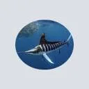 Logo van Black Marlin Consultancy en Training