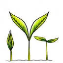 Logo van Improve Your Tomorrow