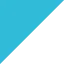 Logo van The Footprinters