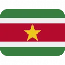 Logo van Stichting Hoop voor Suriname