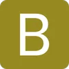 Logo van Braunsdorf Music