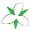 Logo Trillium Klinische Fysica