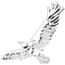 Logo Sky Eyes Legal