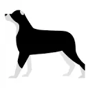 Logo Border Colli