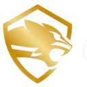 Logo van Cheetah Security