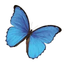 Logo van Moos Kindercoach