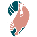 Logo van Nederlandse Kitesurf Vereniging
